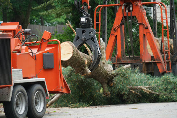 Mulching Services in Ronkonkoma, NY